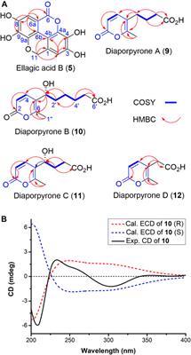 Bioactive α-Pyrone Derivatives from the Endophytic Fungus Diaporthe sp. CB10100 as Inducible Nitric Oxide Synthase Inhibitors